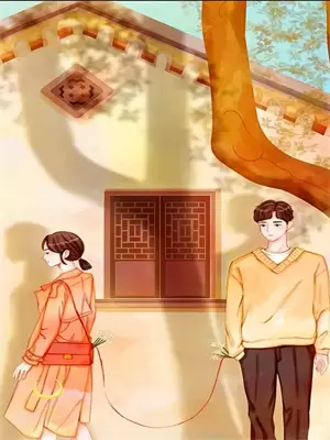 离婚悖论全文txt