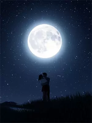 杏花春雨全文免费阅读