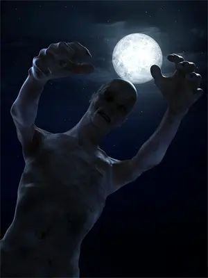京城第一美男的小说