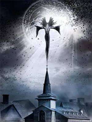 影帝非要和我炒cp全本免费